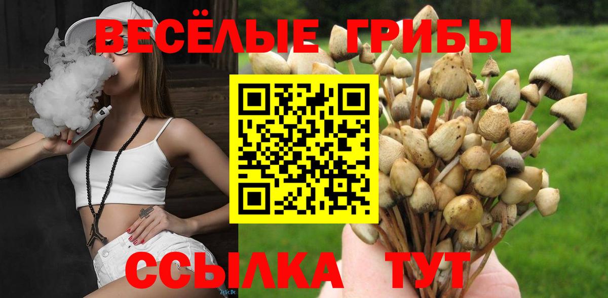 Псилоцибиновые грибы MAGIC MUSHROOMS Артём