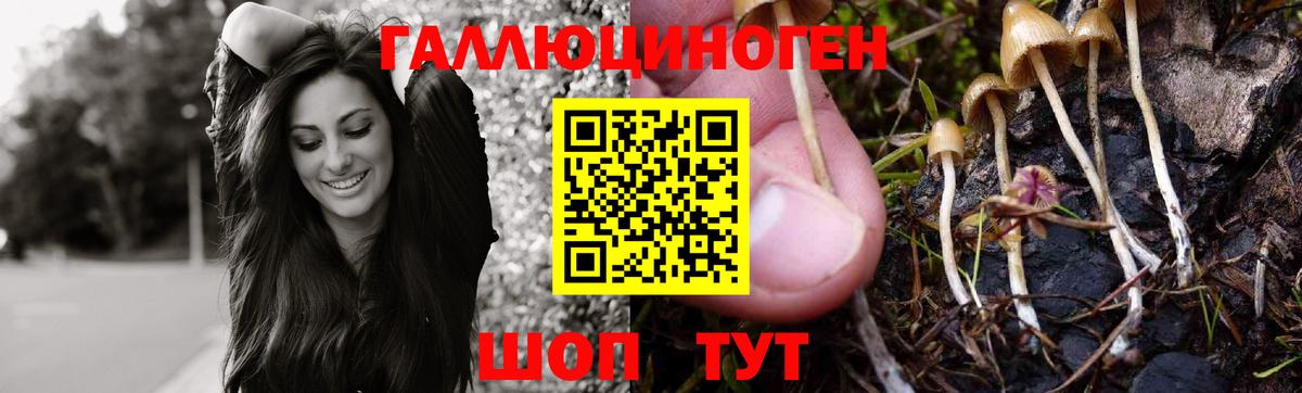 Галлюциногенные грибы прущие грибы  Вход с VPN  Артём 